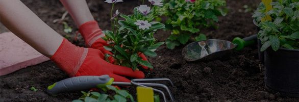 retail garden banner 1 e1652359111669